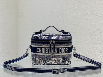 DIOR Handbags 422